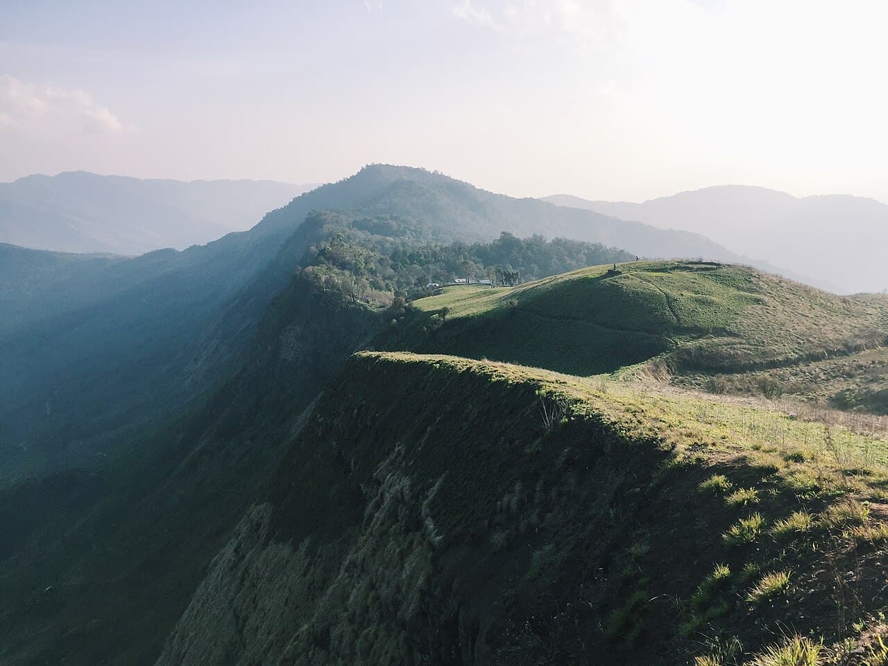 Kohima